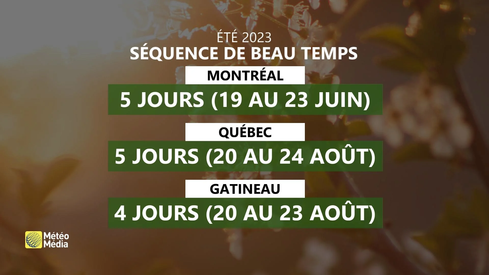 BEAU2