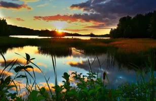 Après Montréal, la planète se réunit à Cali pour sauver la biodiversité