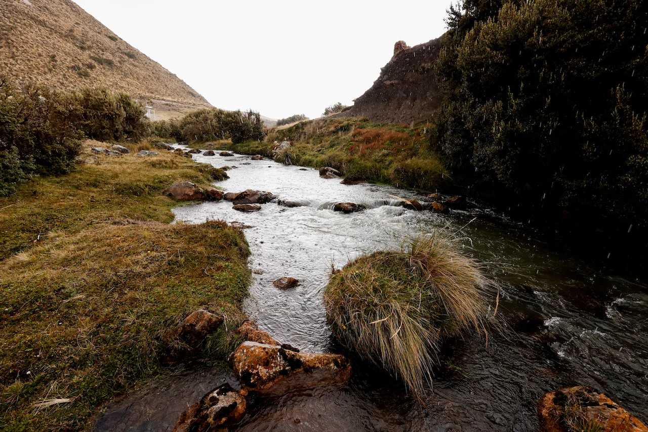 ENVIRONMENT-COP16-LATAM-WATER/REUTERS/Karen Toro