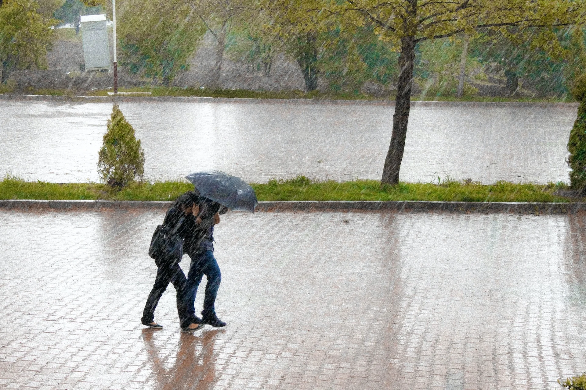 Un système costaud pourrait apporter 100 mm de pluie