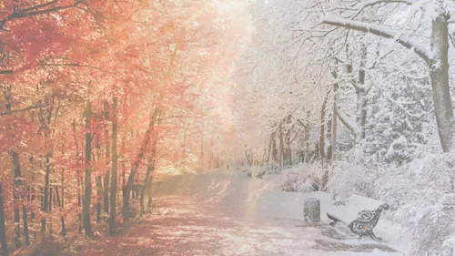 Below-Average Temps Set To Hit 170 Million This Thanksgiving