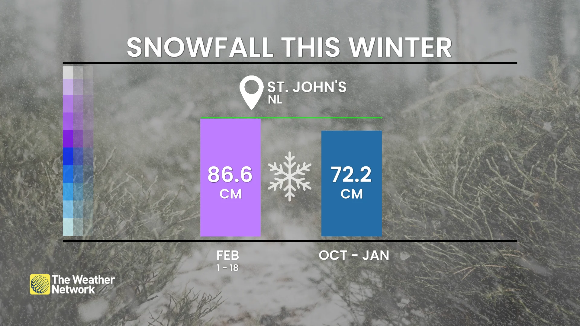 Baron - St. Johns winter snowfall - Feb20
