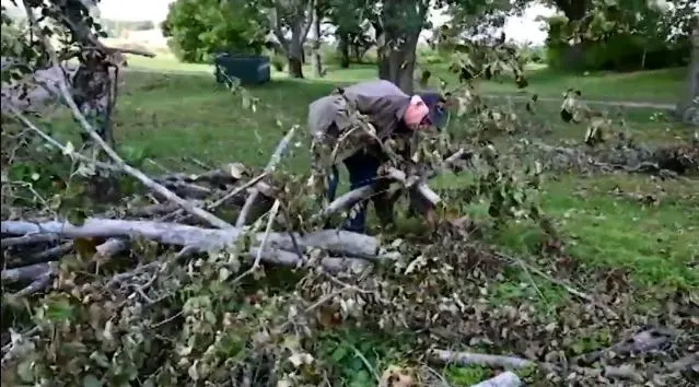 Hurricane Dorian damaged more than just Nova Scotia's fall harvest