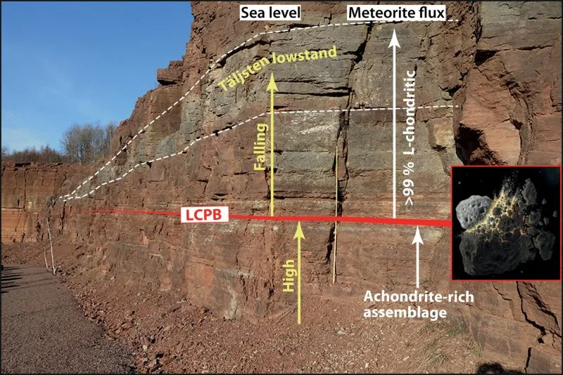 mid-Ordovician-Hällekis-section-Sweden-Sep-18-2019-800x534