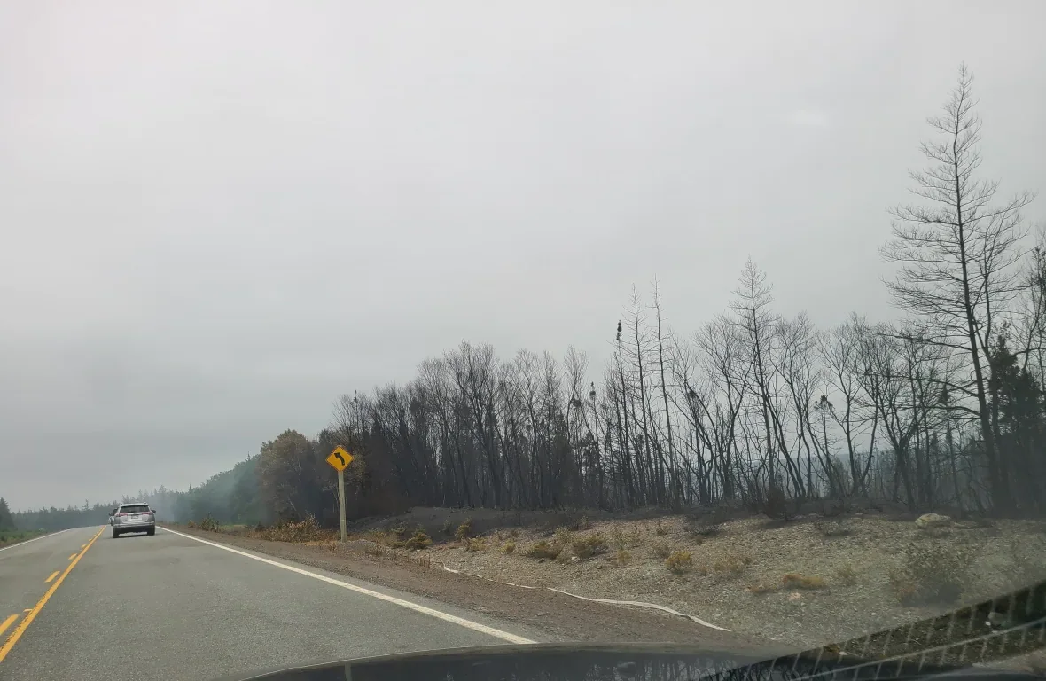 bay-d-espoir-highway-fire/Submitted by Alisha Joe via CBC