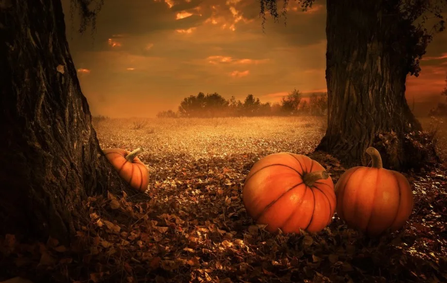 How severe weather has impacted Halloween over the years 