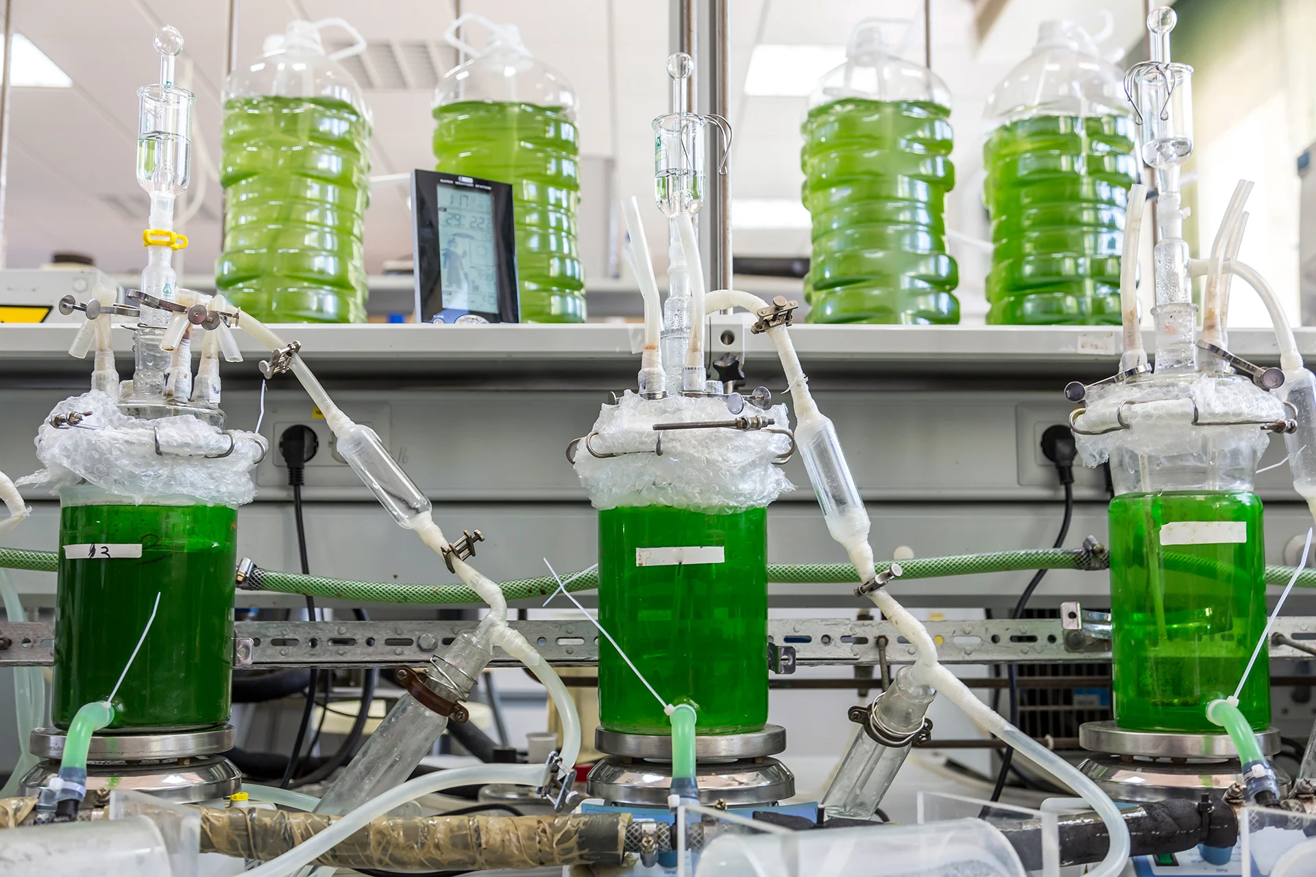 Here’s how UBC researchers are maximizing the potential of microalgae