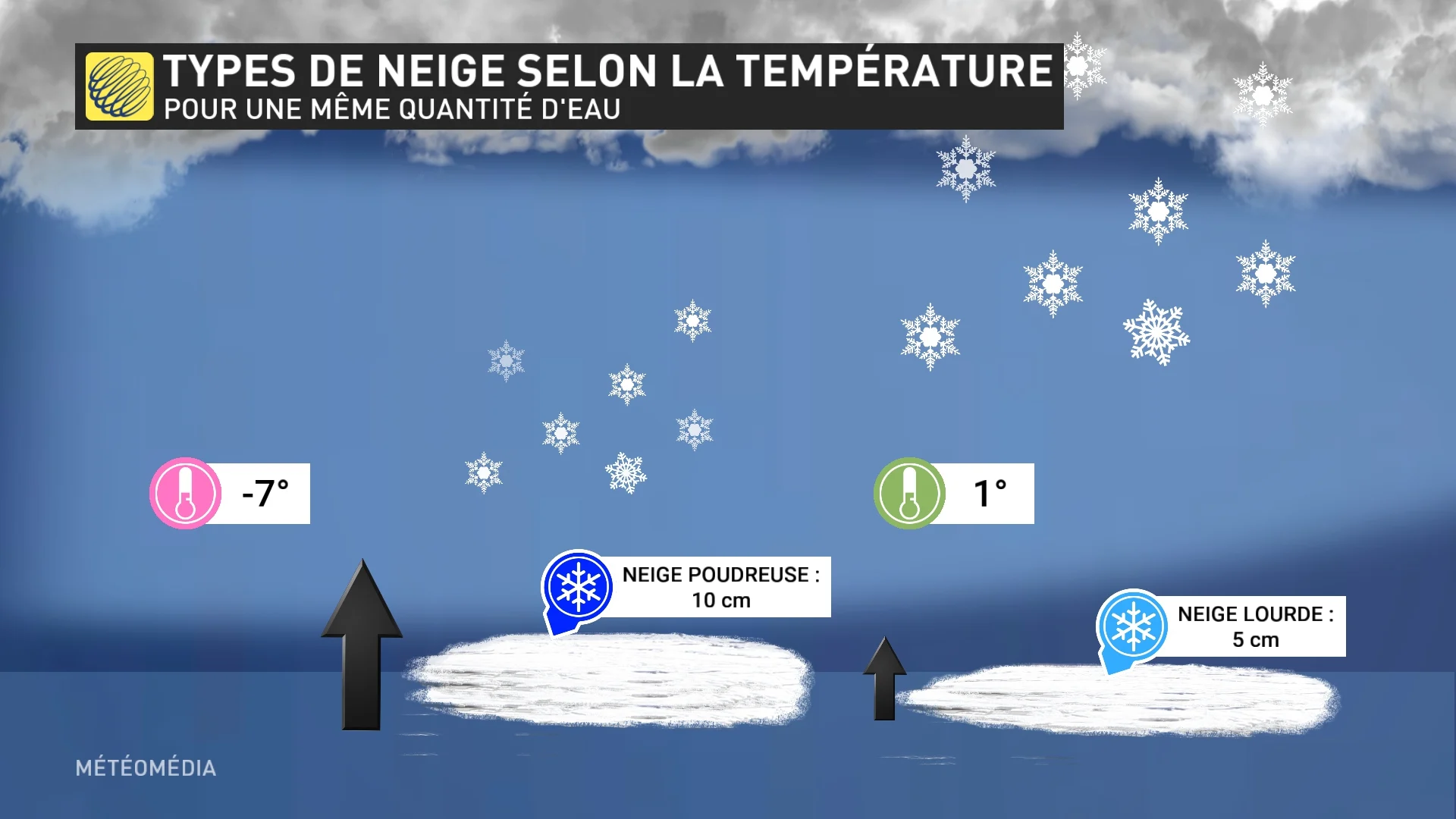 NEIGE3 (1)