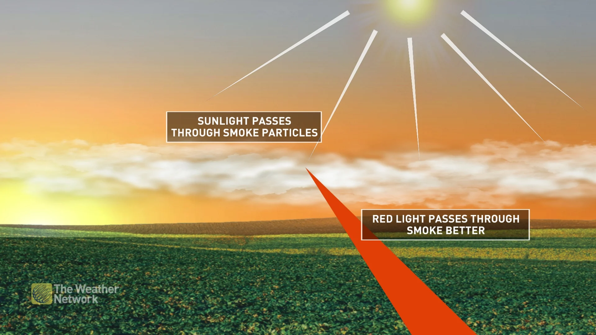 How the sky turns red from wildfire smoke explainer
