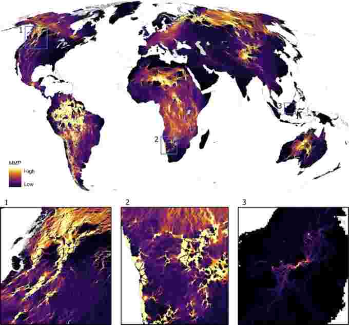 Global mammal map/Reprinted with permission from Brennan et al, Science 377:1101-1104 (2022)