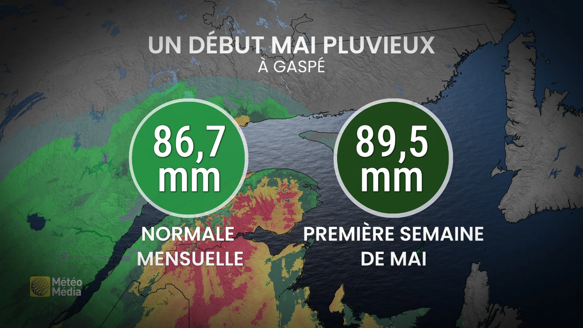 PLUIE2 (5)