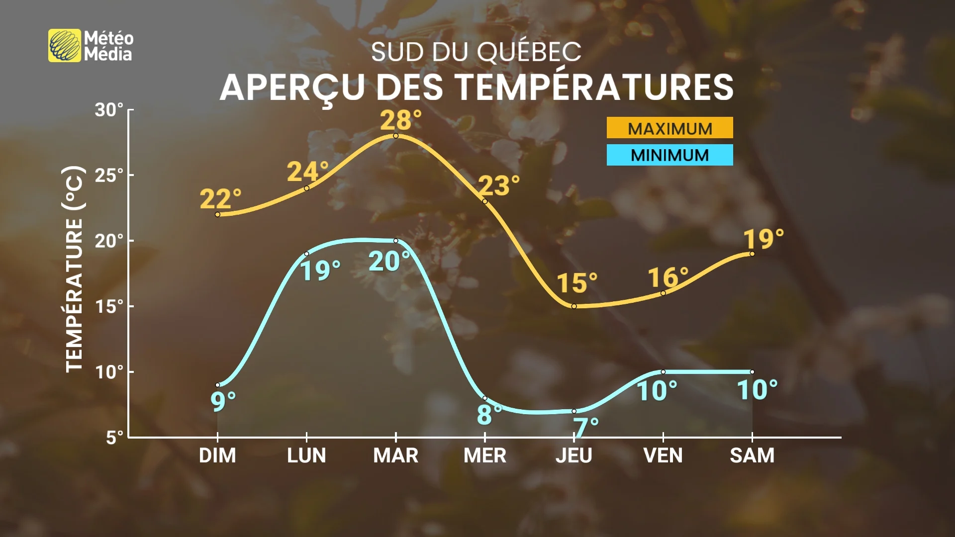 BILAN5