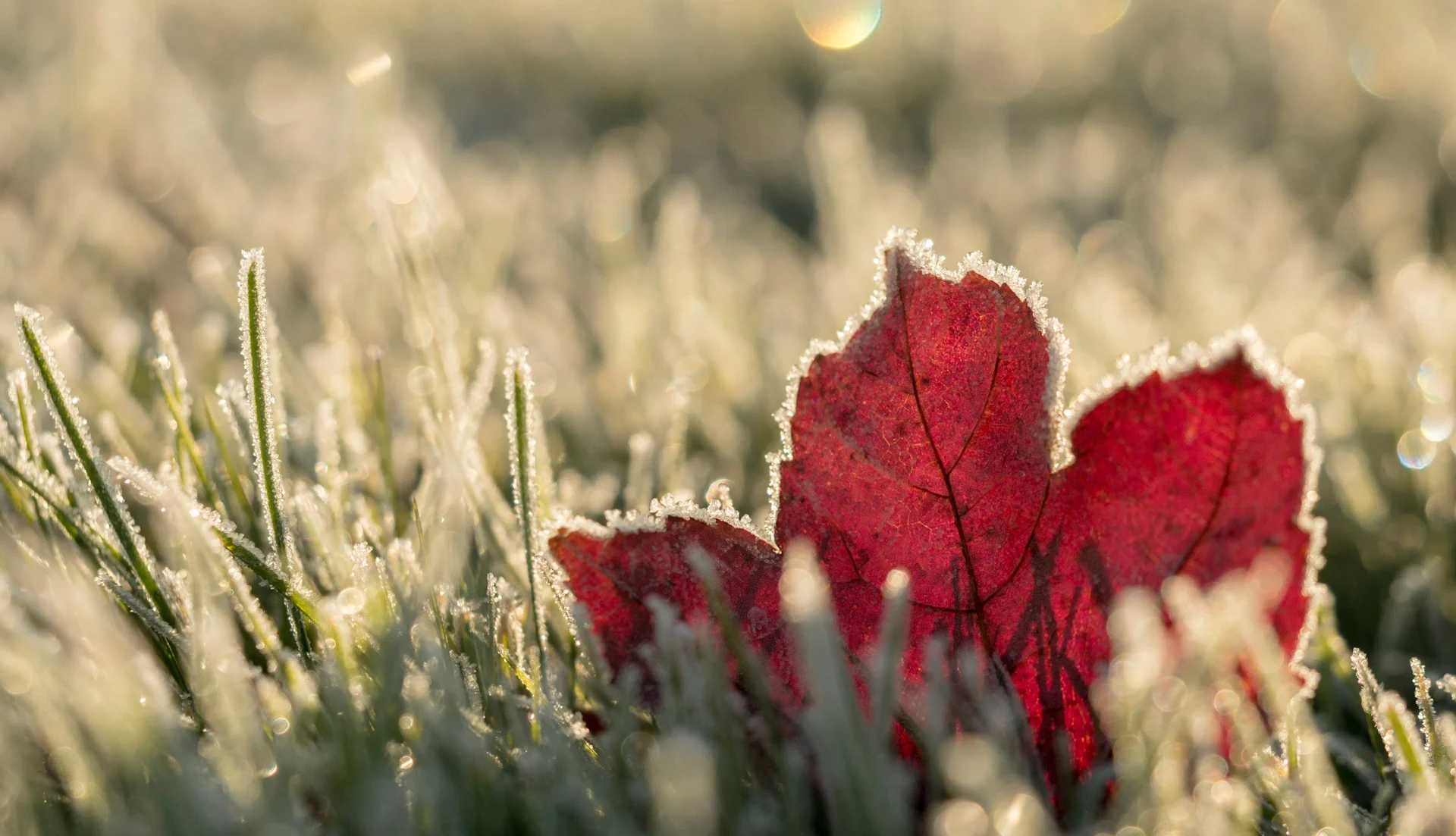 Beware: A sharp temperature drop looms for Eastern Canada