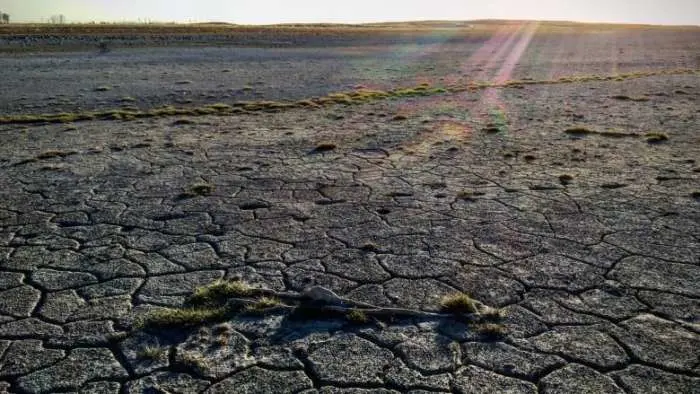 'Extreme' drought in parts of Saskatchewan: Ag Canada
