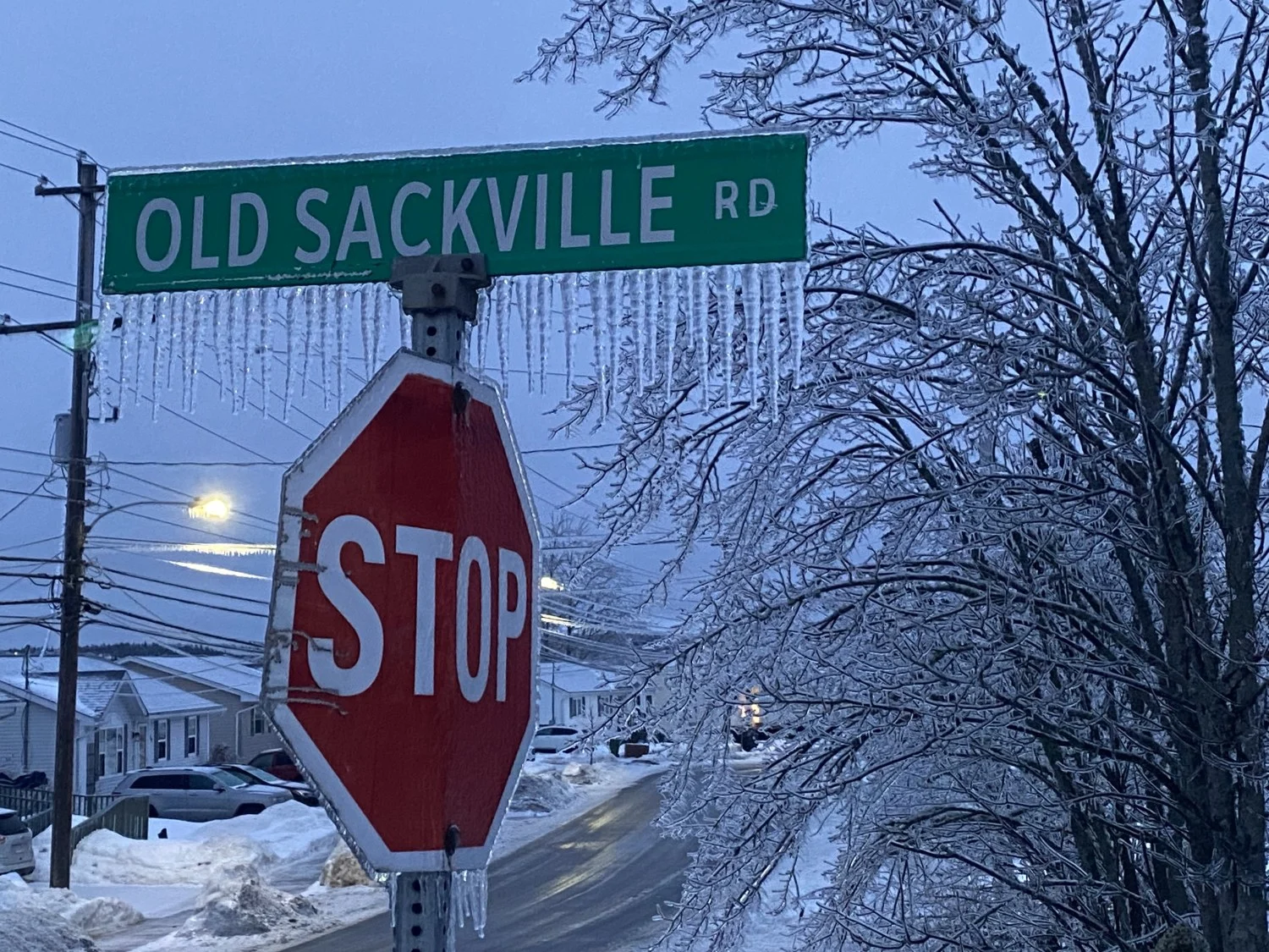 (NATHAN COLEMAN) Ice accretion from freezing rain in Middle Sackville, Nova Scotia