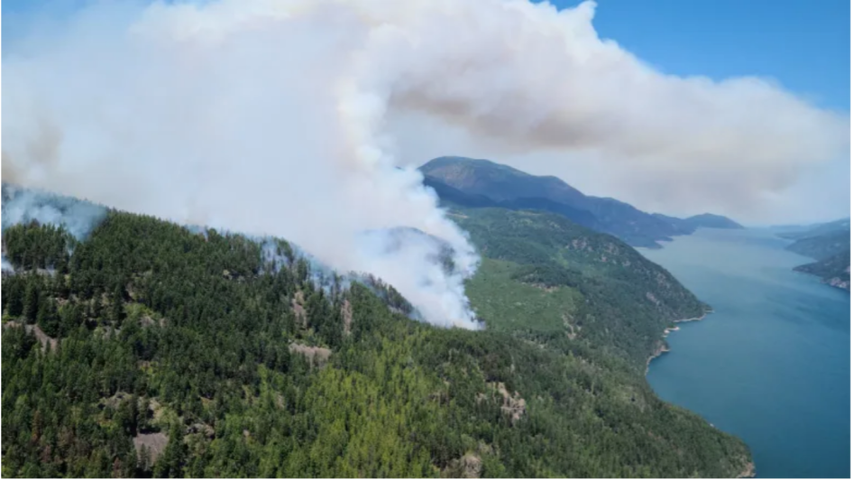 The Michaud Creek wildfire near the community of Edgewood in the Central Kootenay Regional District. Firefighters in the region have been hamstrung by a string of equipment thefts. (Twitter/B.C. Wildfire Service)
