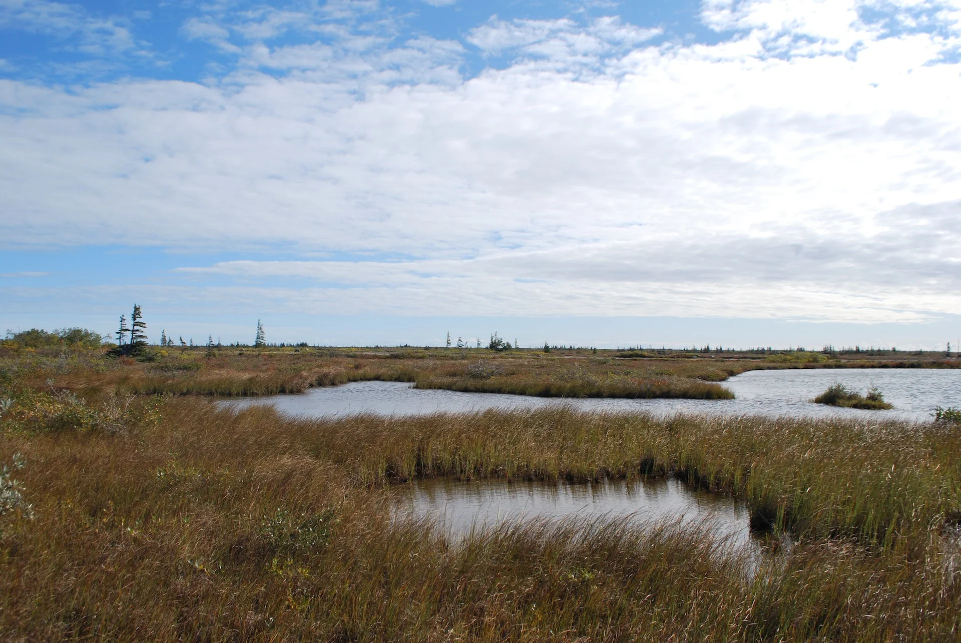 How climate change is impacting Canada’s largest wetland