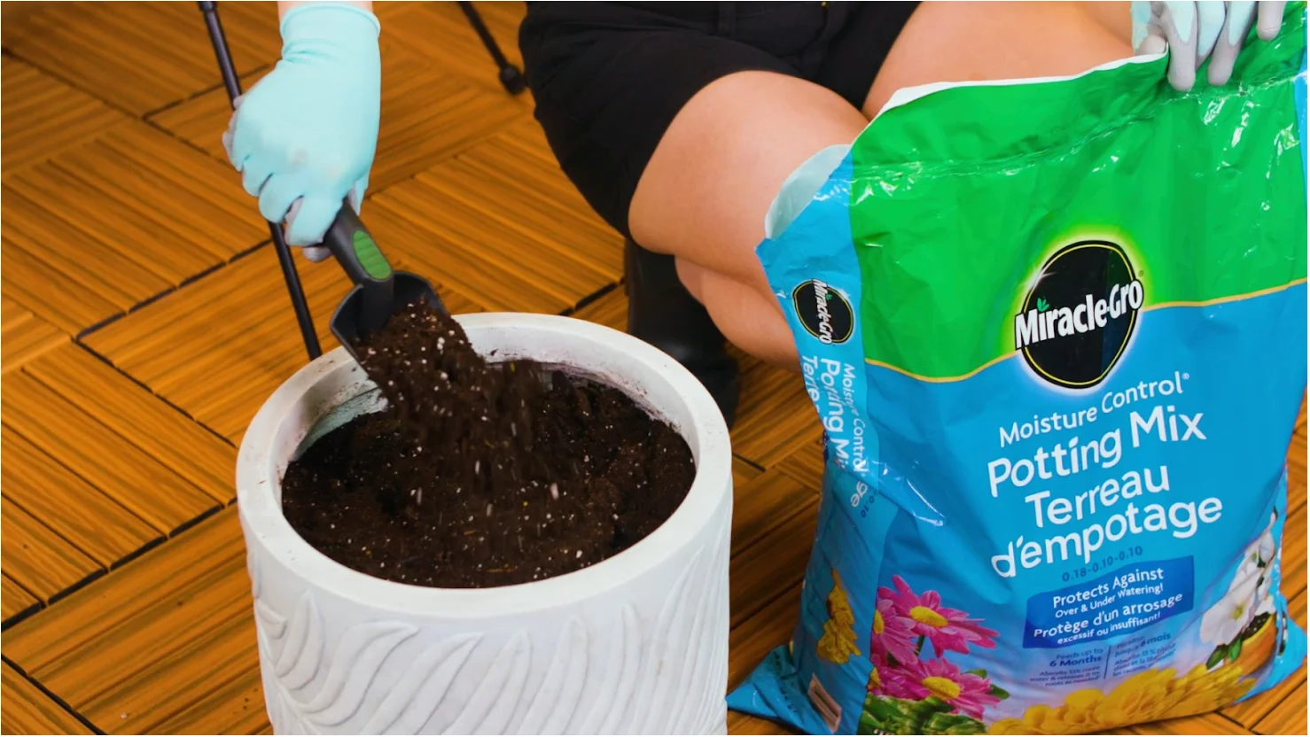 Miracle-Gro: This potting mix helps protect against overwatering and underwatering