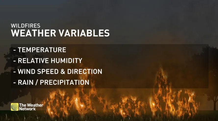 BARON - weather variables