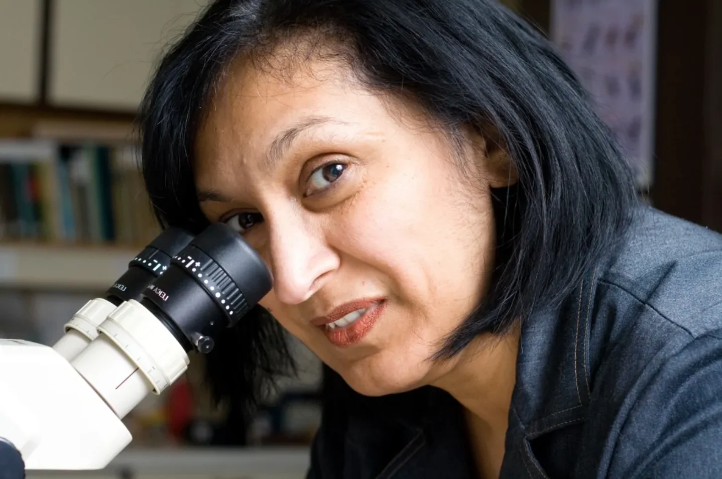 Christine Noronha says the winter bugs produce antifreeze so they can move around on the snow. (Submitted by Agriculture Canada)