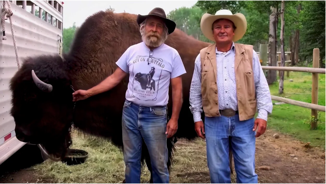 No re-use: Credit: Boundary Ranch buffalo 