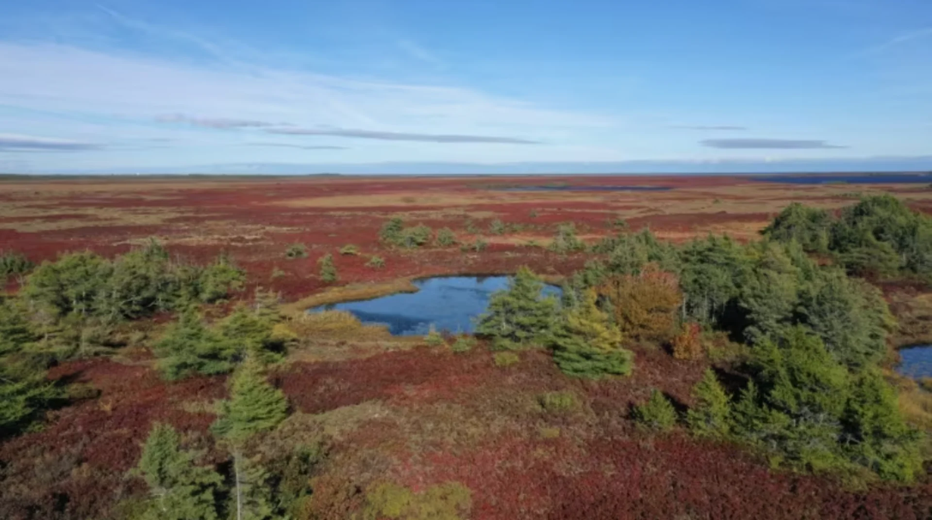 New Brunswick's peatlands: A little-known industry troubled by rainy weather