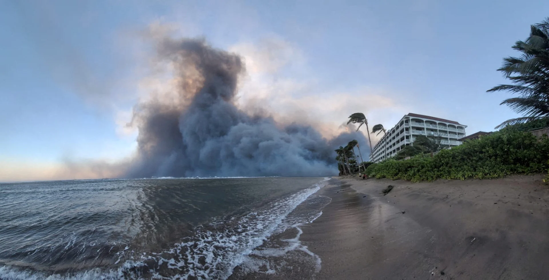 Évacuations, chaos, 55 morts : des airs de fin du monde à Hawaï