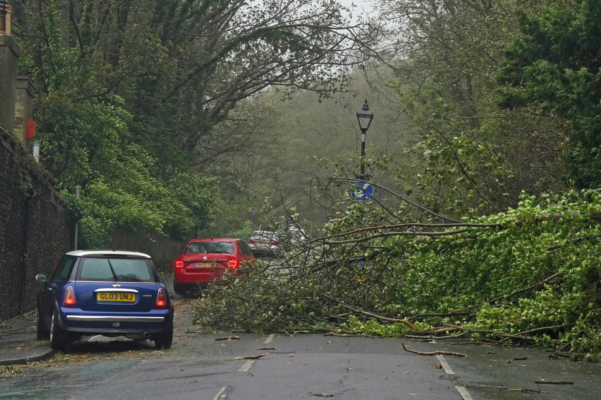 Reutesr/Source: Gareth Fuller/PA Wire/dpa via Reuters Connect: Cars passing a fallen tree in Dover, as Storm Ciaran brings high winds and heavy rain along the south coast of England.