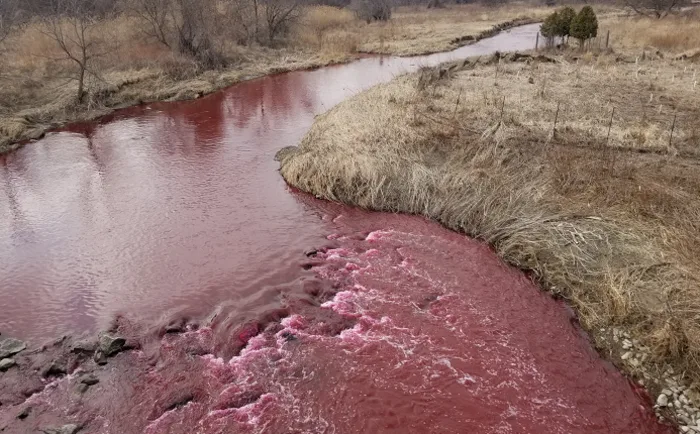 Une rivière tourne au rouge sang