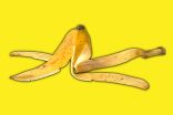 Don't throw out that banana peel! Study shows it can enhance baking