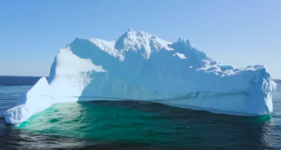CBC: Iceberg was spotted in Bonavista in 2020. (Trinity Eco-Tours)