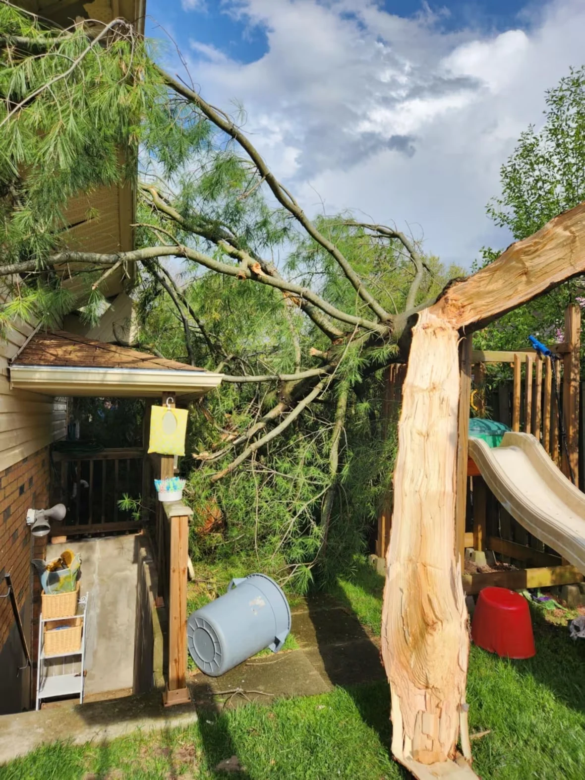 tree-snapped/Submitted by Kirsten Smith via CBC News