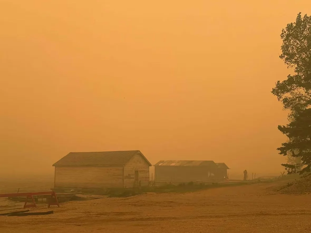 colleen/Paul Rossington via CBC
