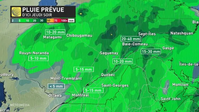 PLUIE PREVUE