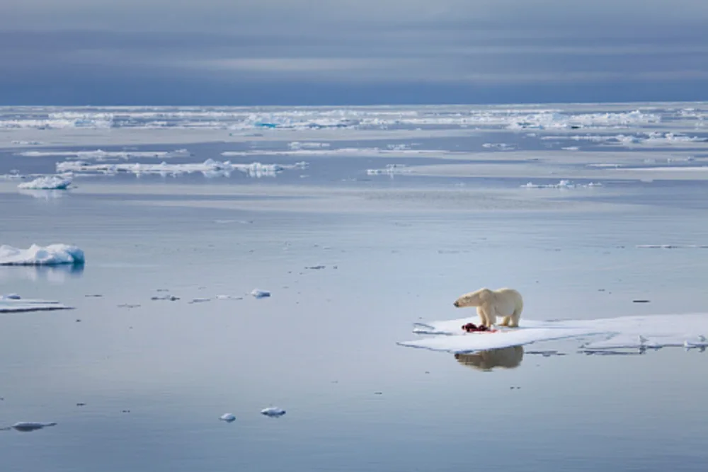 GETTY IMAGES: Arctic ice melt, global warming, climate change