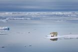 Thawing permafrost in the Arctic is becoming a source of carbon emissions