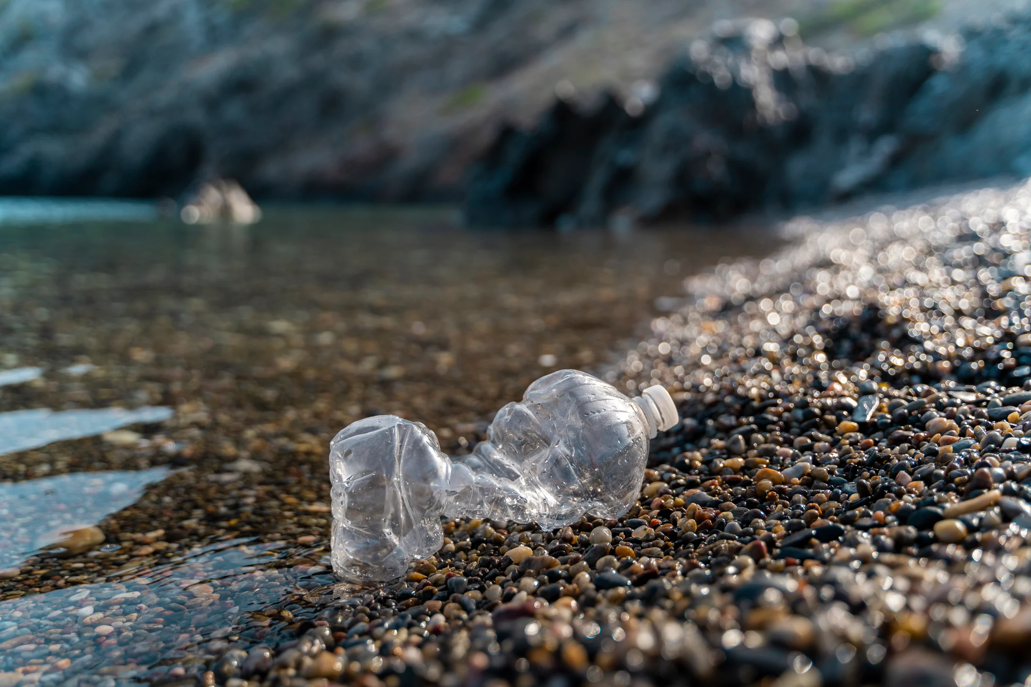 A discarded plastic bottle on a stony beach. (Westend61. Getty Images)