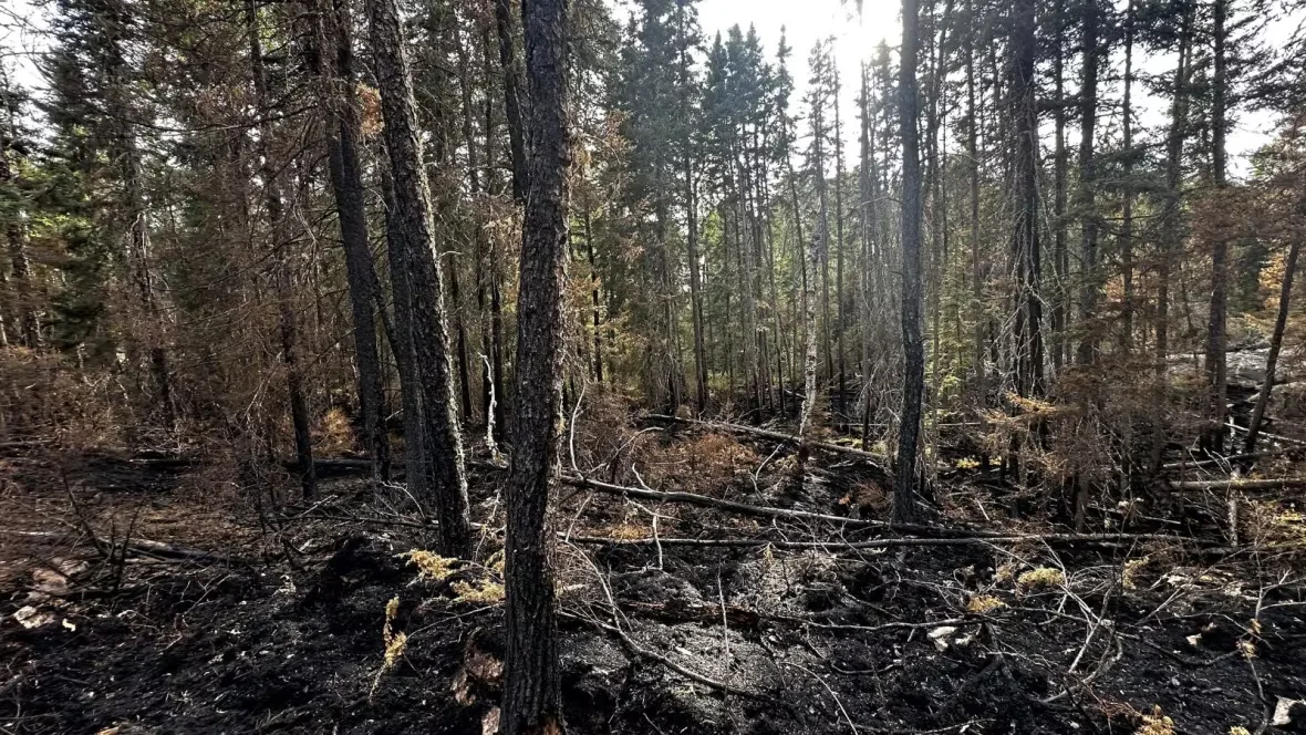 Manitoba, Fire, Wildfire, Nopiming, Bissett, June 24, 2025. (CBC News/Heather Anderson)