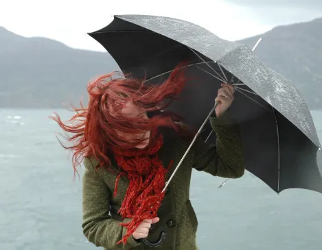 Are umbrellas useless in Halifax? We asked Haligonians