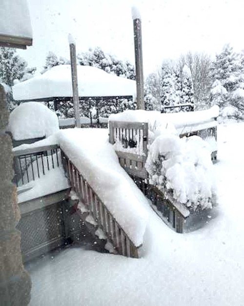 IN PHOTOS: Squalls Blast Parts Of Southern Ontario With 30+ Cm Of Snow ...