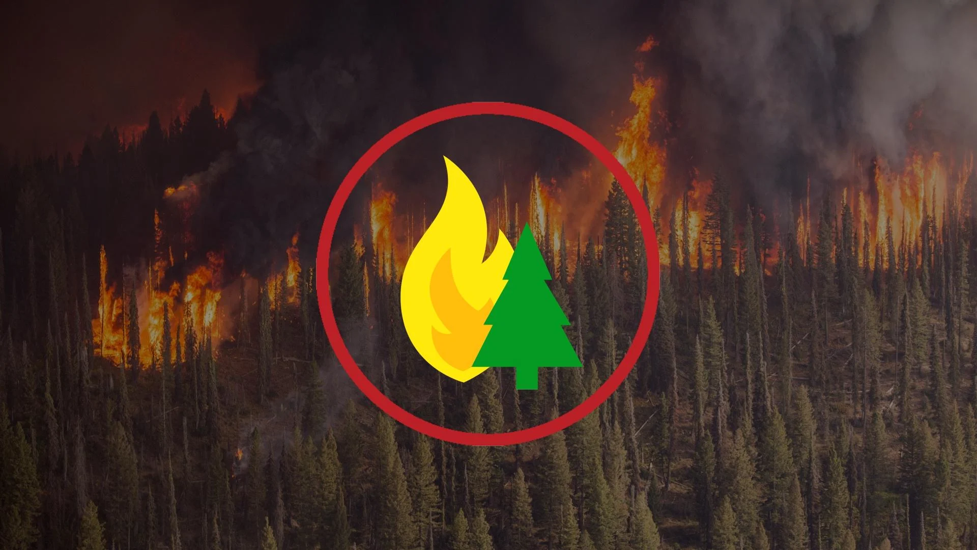 Incendies : l’état d’urgence déclaré en Alberta