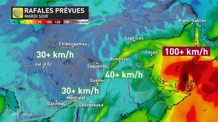 TEMPETE4 (10)