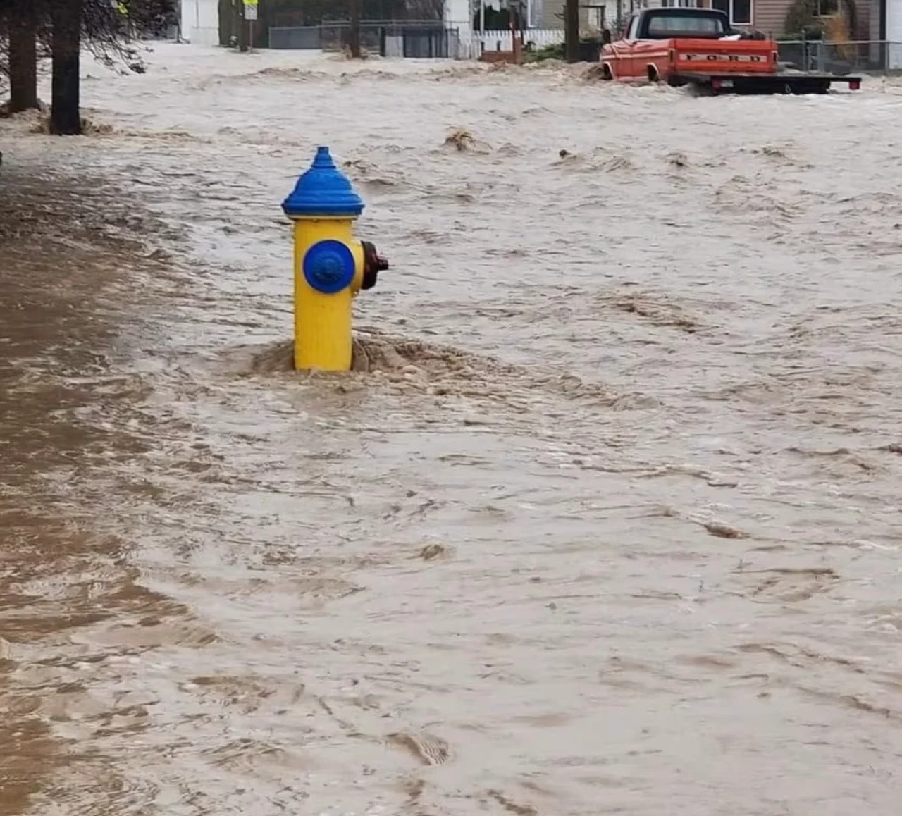 Submitted by Bailee Allen/via CBC