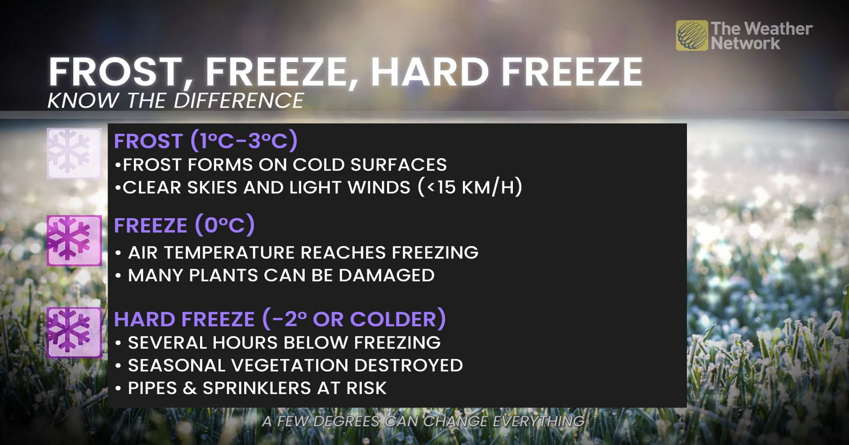 Hard freeze versus frost