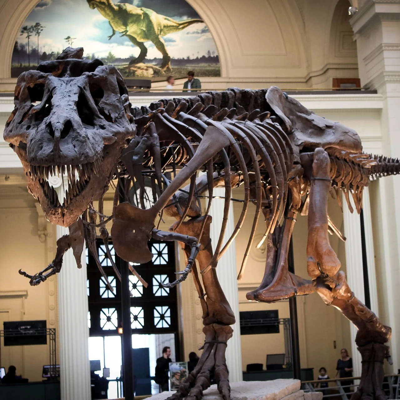 Le plus grand T-Rex au monde est canadien ! Détails ici. 