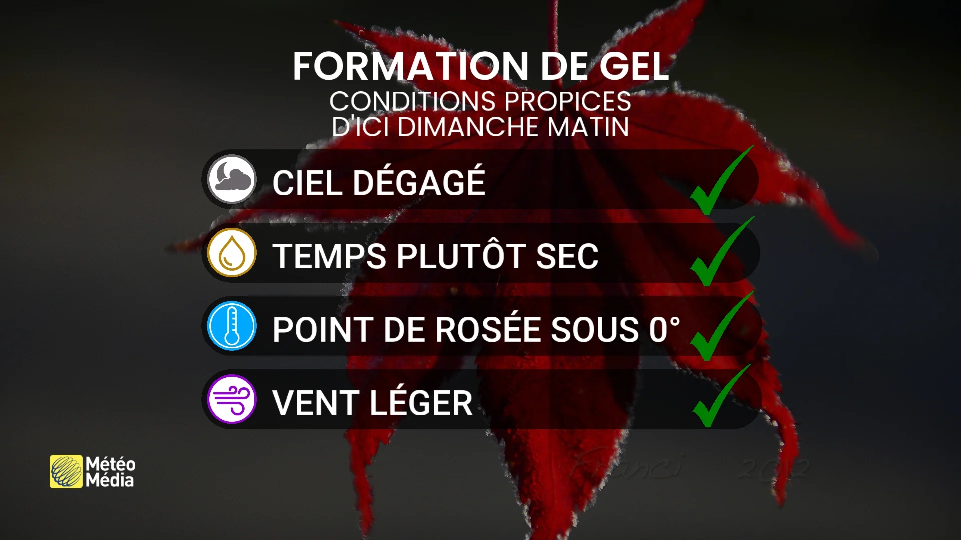 GEL2