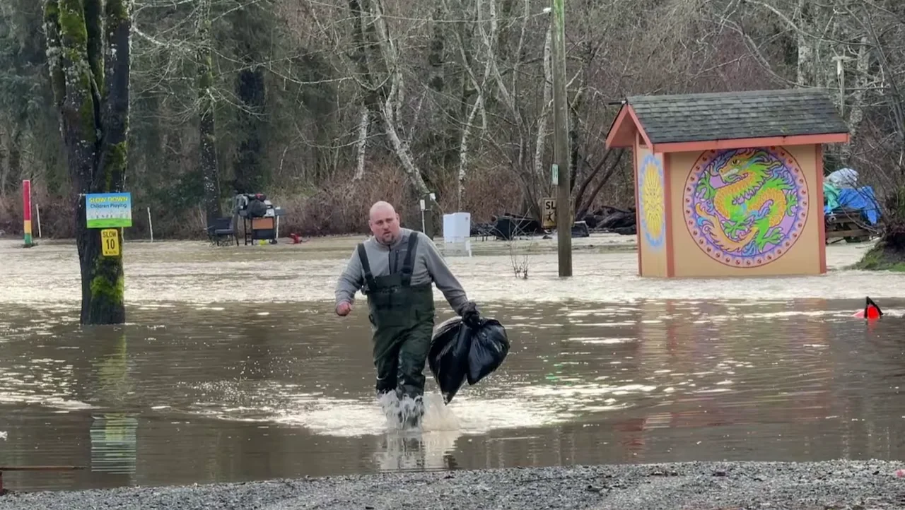 Maple Pool Campground, Flood, Flooding, Courtenay, B.C., January 31, 2026. (Maryse Zeidler/CBC)