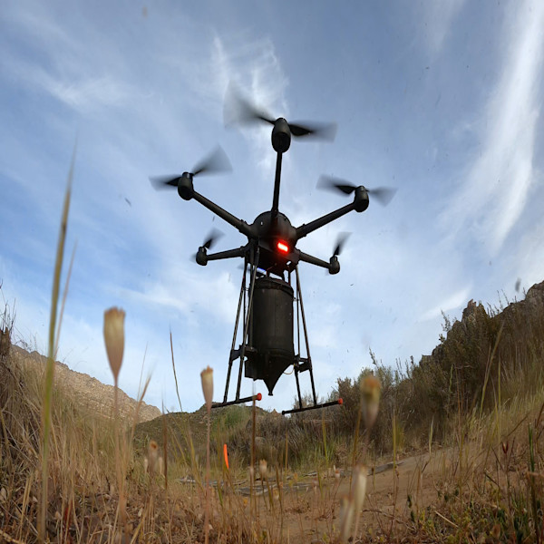Seed-dropping drone company aims to plant 100 million trees by 2024 ...