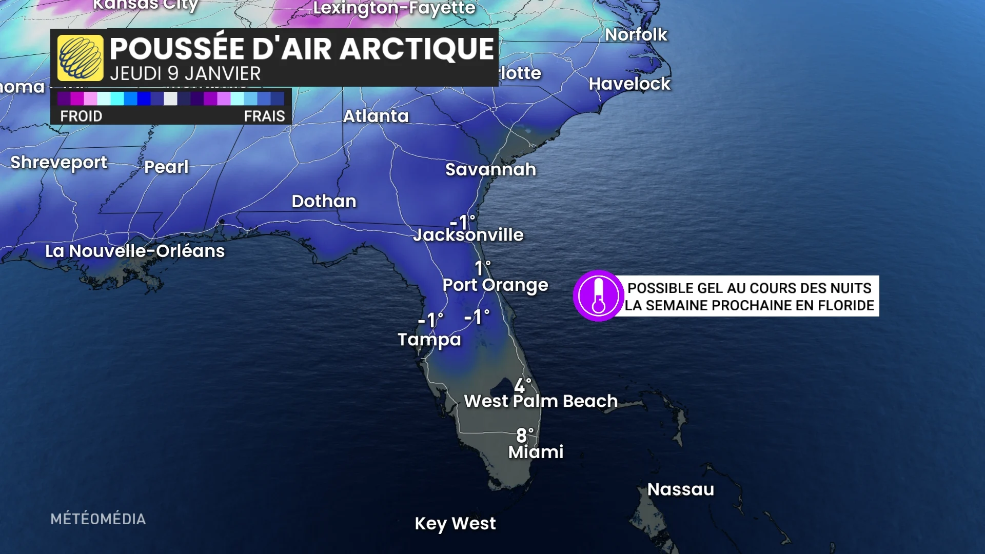 FROID FLORIDE GEL