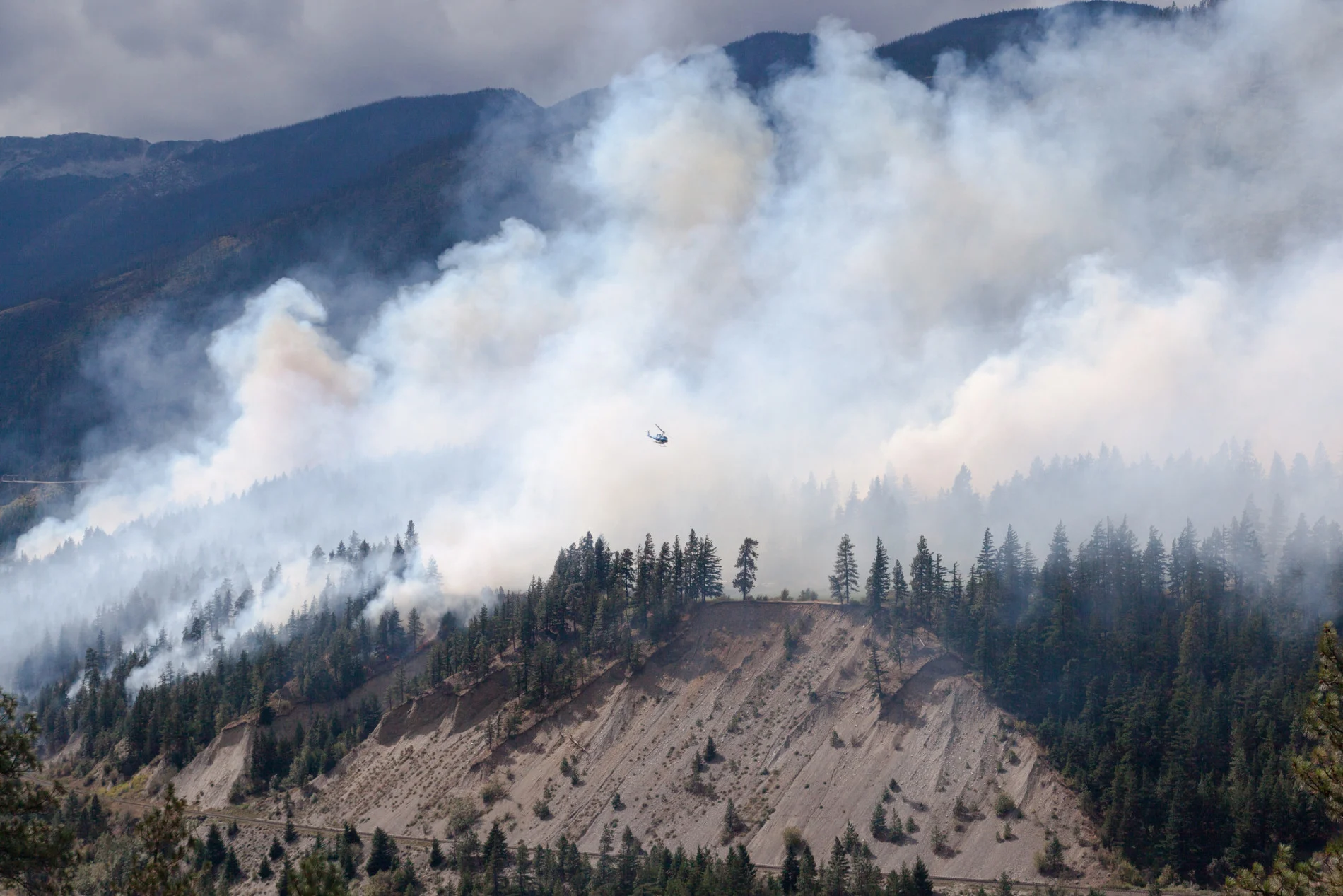 West Coast heat wave virtually impossible without climate change, study says